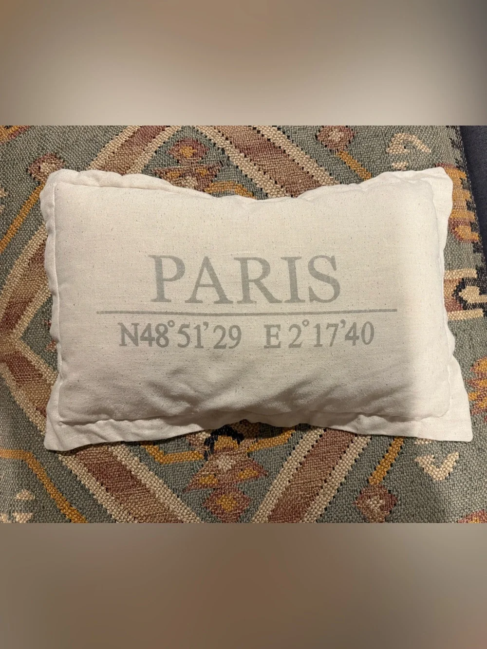 Throw Pillow with Pillowcase Removable Cover